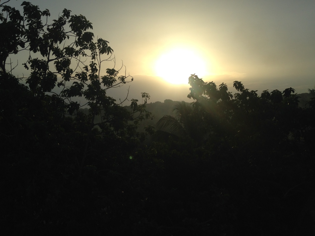 Sunrise over the avocado trees on my first morning. #100DaysInParadise